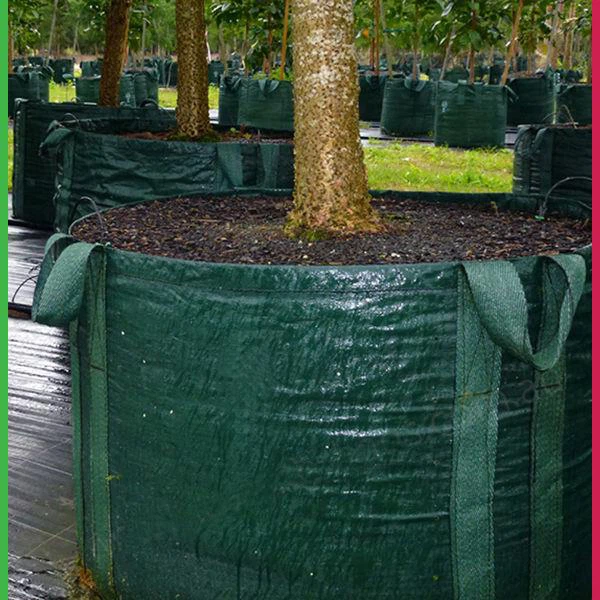 75L Plastic Plant Grow Pot