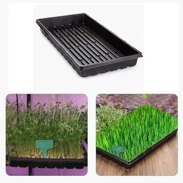 1020 Growing Trays